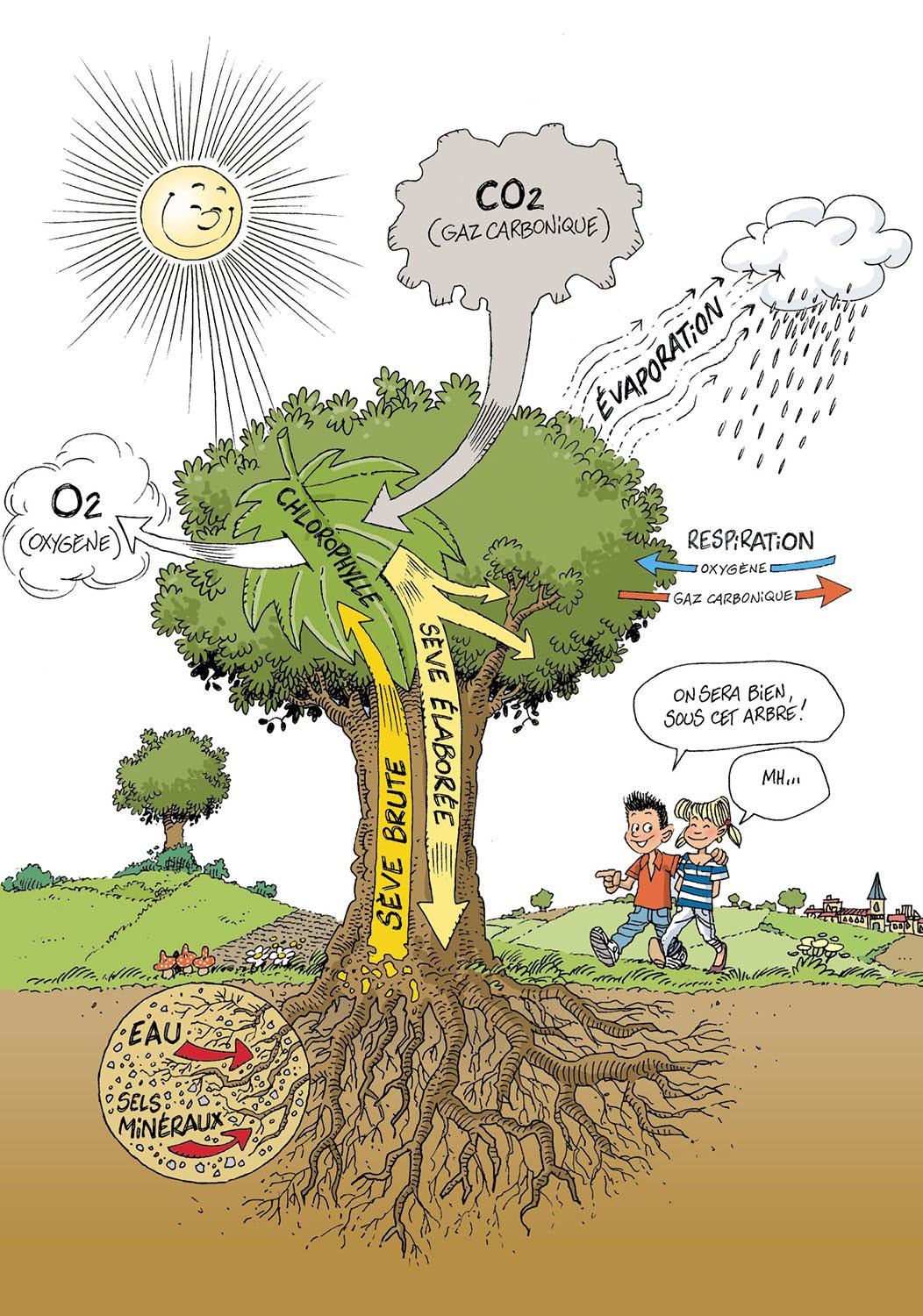 On sera bien sous cet arbre arbre remède